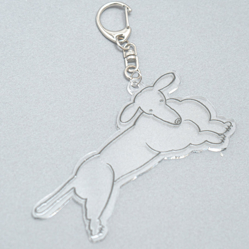 
                  
                    Acrylic Key Chain "Dachshund"
                  
                
