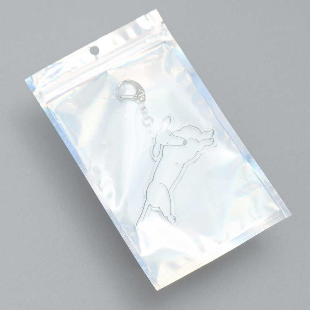 
                  
                    Acrylic Key Chain "Dachshund"
                  
                